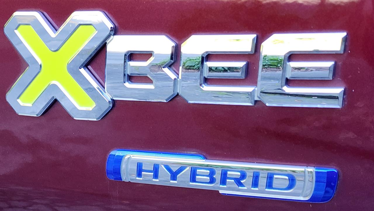 2020 Suzuki XBee